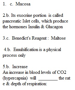 Lab Exam 3